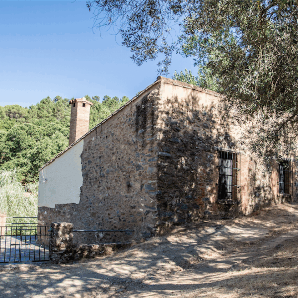 Pozuelo III
