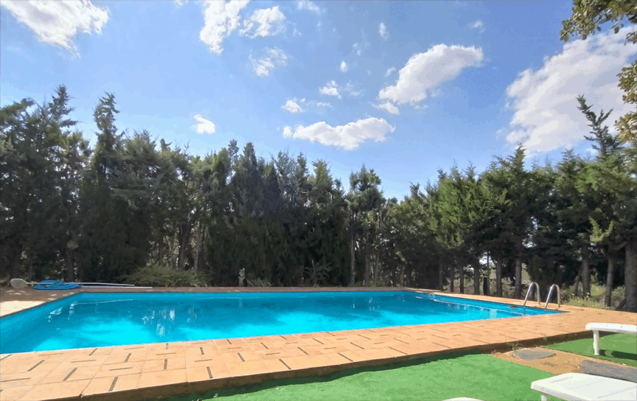 Pozuelo III - Imagen 11