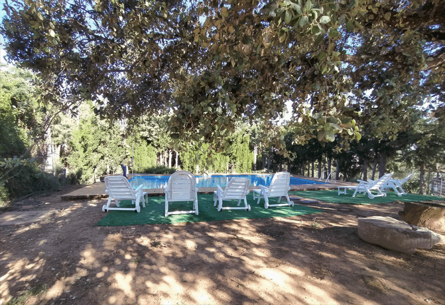 Pozuelo III - Imagen 10