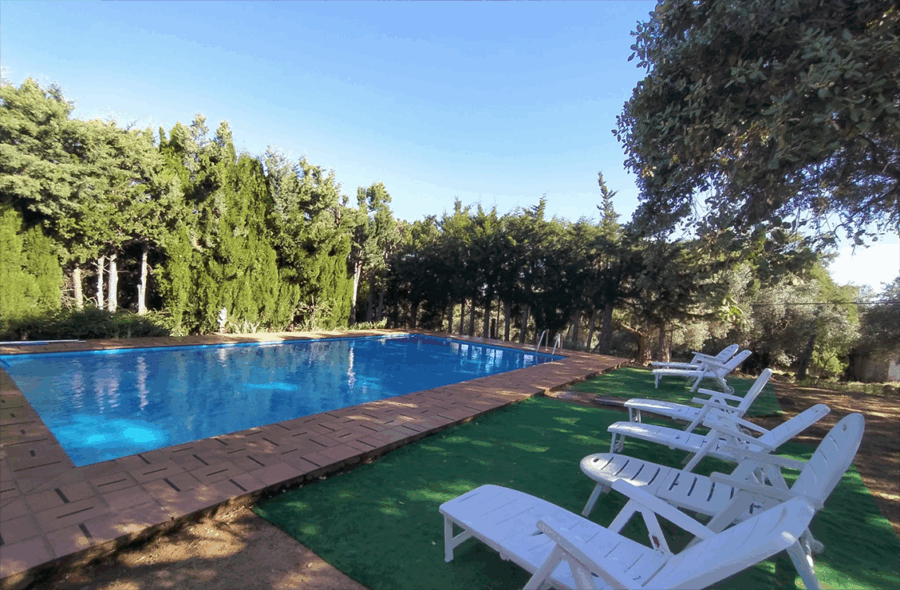 Pozuelo III - Imagen 9